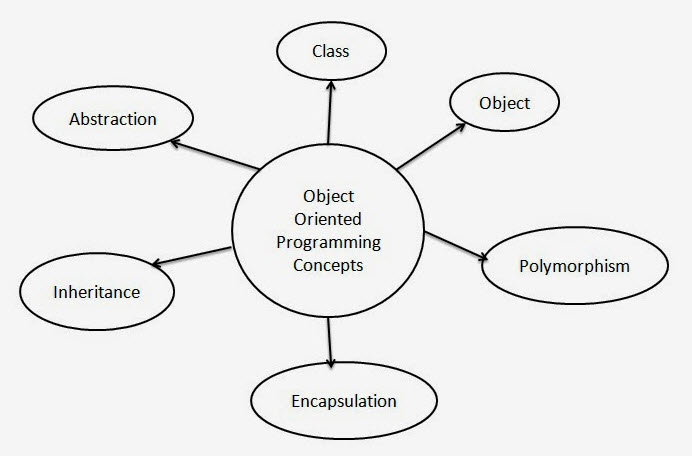 cardiovascular System